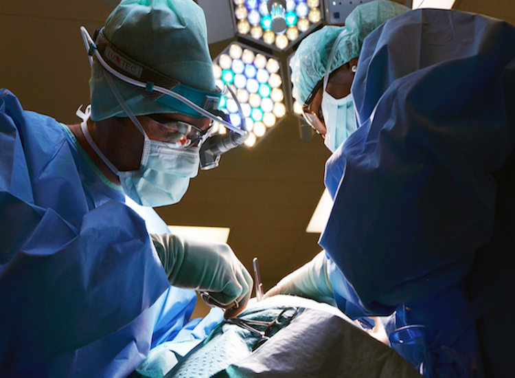 Surgeons warn Brazilian butt lifts have the highest cosmetic surgery death rate
