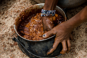 Sustainability and fairtrade provide the green light