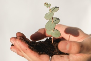 Sustainable Beauty Coalition goes after ‘misleading’ greenwashers with Planet Positive Beauty guide 