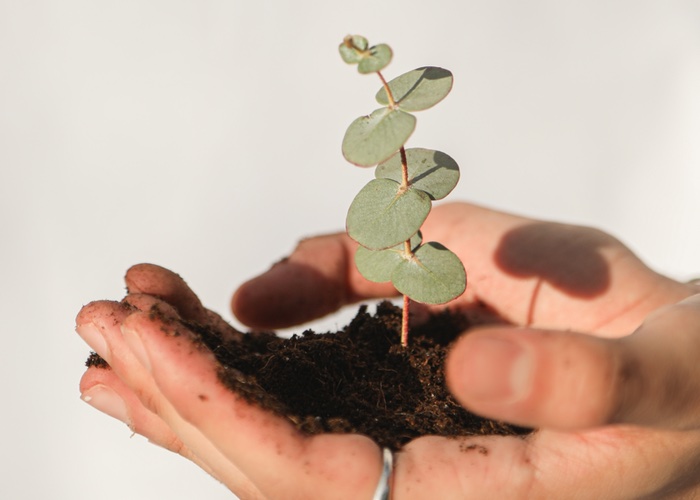 Sustainable Beauty Coalition goes after ‘misleading’ greenwashers with Planet Positive Beauty guide 