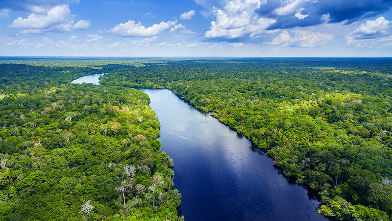 Sustainable cosmetics from the rainforest