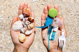 Sustainable packaging solutions: Protecting the planet from plastic pollution 
