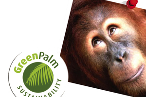 Sustainable Palm Oil:
Green Palm Sustainability