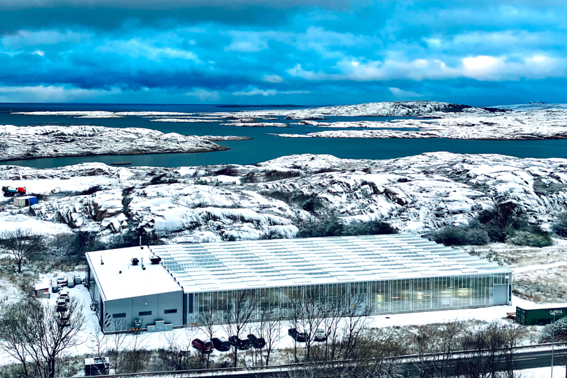 Swedish Algae Factory raises €3 million to expand algae production and boost beauty partnerships