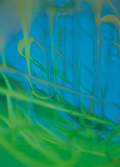 Symrise and Cutech form partnership to develop cosmetic actives from microalgae