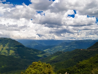 Symrise explores Amazon's raw materials