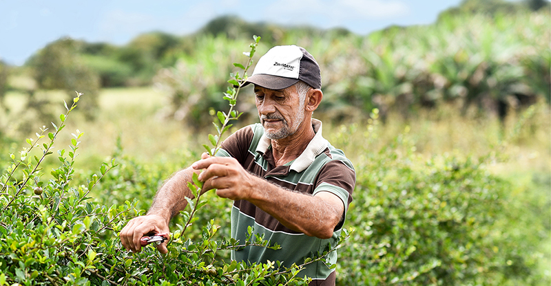 Symrise joins AIM-Progress initiative for more sustainable and equitable supply chains 
