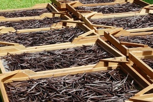Symrise launches website dedicated solely to vanilla