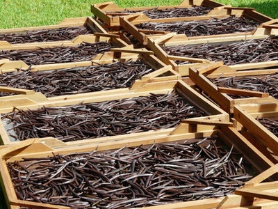 Symrise launches website dedicated solely to vanilla