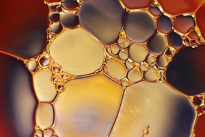 Symrise taps biotch firm Cutech
