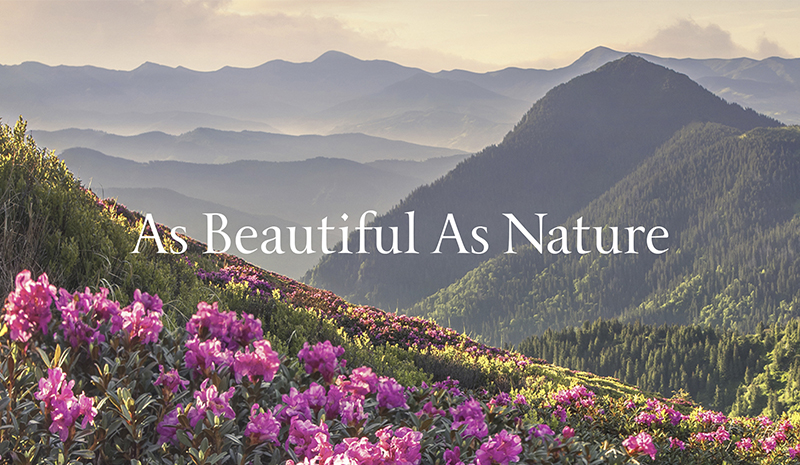 T-LAB Professional looks to nature's colour palette for new collection
