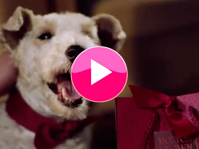 Taxis with a twist: Molton Brown's new festive campaign