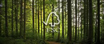 Technotraf strengthens commitment to sustainability with FSC certification