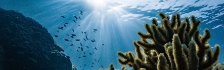 Ter Chemicals: Health and protection for coral reefs and skin