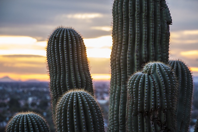The 5 best and worst cities for skin health revealed in new study
