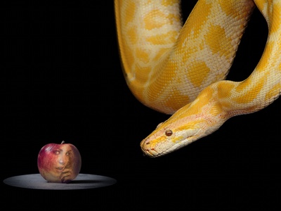 The 7 deadly sins of beauty branding