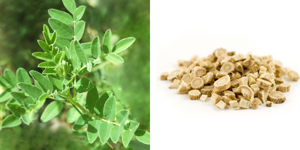 The benefits of traditional Chinese medicine for cosmetics