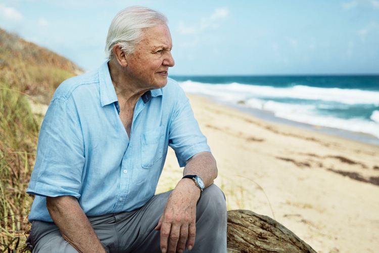 The David Attenborough effect: REN Skincare has exciting news for eco-warriors 