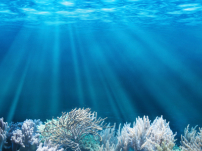 The end is nigh for microbeads