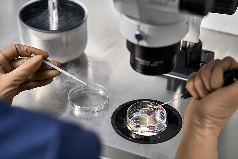 The first online shop dedicated to testing cosmetic products is here