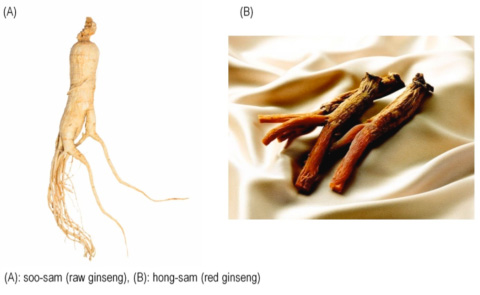 The healing power of Ginseng