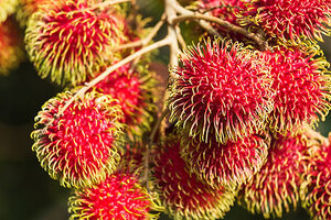 The latest breakthrough in BASF’s research into plant-based feedstocks
