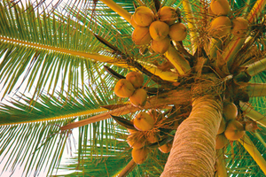 The Philippines – Growth prospects