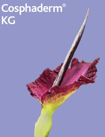 The royal class of natural thickening and gel forming agents