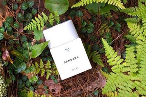 The smell of success: How to sell fragrance in the digital era