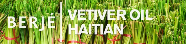 The treasured note of Vetiver oil with roots deep in Haiti’s foundation