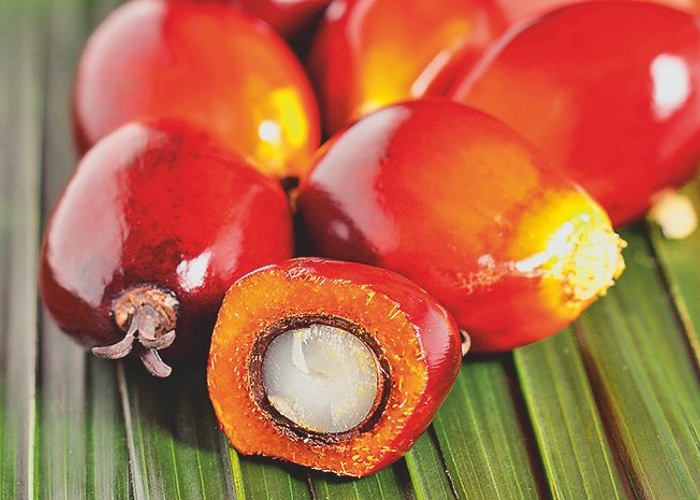 These three companies have teamed up to promote sustainable palm oil production in Indonesia 