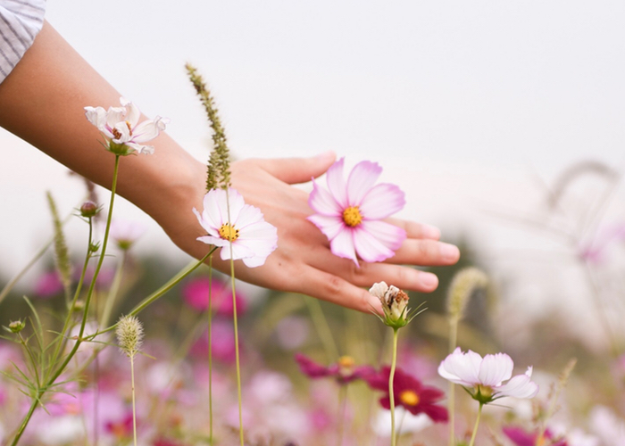 This organ transplant drug may be the future of anti-ageing skin care 