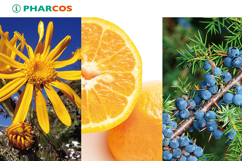 Three-level novel brightening ingredients
