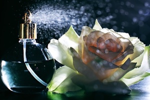 Top perfume vendors revealed