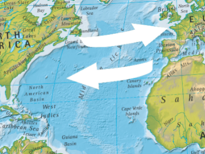 Transatlantic harmonisation
