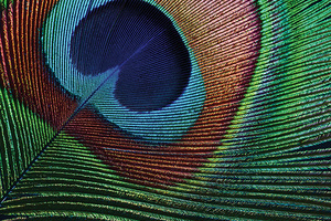 Transformative beauty: How to make cosmetics that change colour and texture