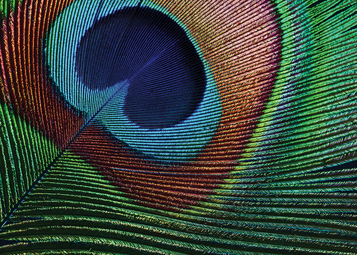 Transformative beauty: How to make cosmetics that change colour and texture