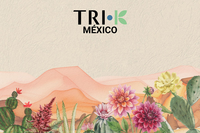 TRI-K Industries opens Mexico subsidiary
