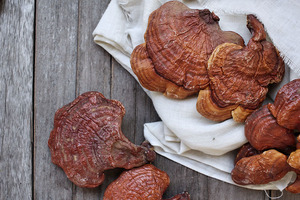 TRI-K introduces Naturepep Ganoderma: Dual action anti-ageing TCM Mushroom Peptide