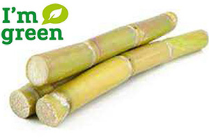 Tu-Plast new environmental friendly Sugarcane Tube