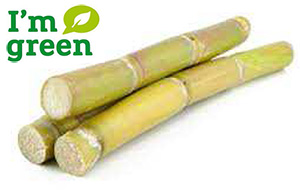 Tu-Plast new environmental friendly Sugarcane Tube