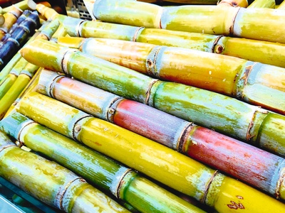 Tu-Plast sweetens the deal with sugarcane tubes