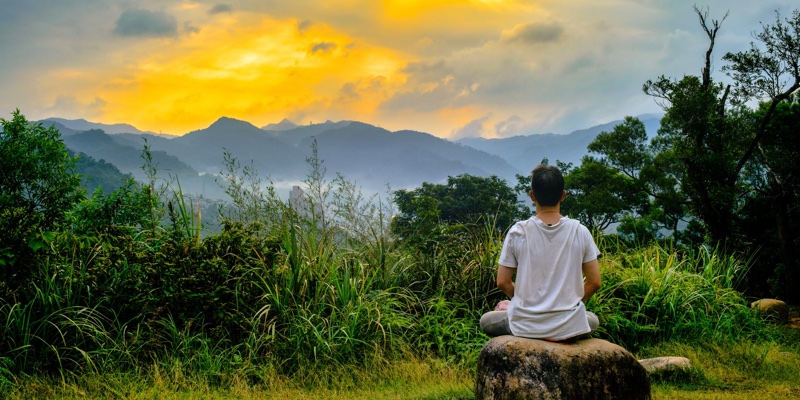 Turmeric for stressed skin: Meet Vytrus Biotech's wellbeing wonder ingredient 
