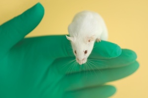 UK government bans animal testing of chemicals used exclusively as cosmetic ingredients