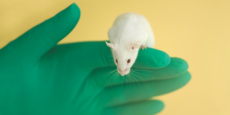 UK government bans animal testing of chemicals used exclusively as cosmetic ingredients