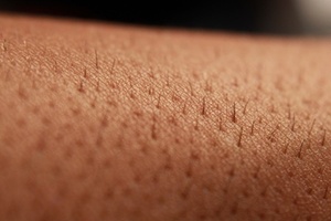 UK lab given £50k for testing method that uses donated skin
