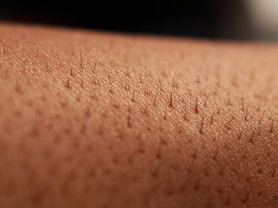UK lab given £50k for testing method that uses donated skin