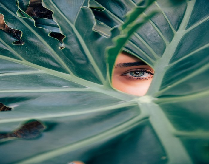UK organic beauty market reaches all-time high