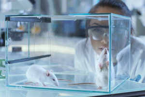 UK unveils plans for faster phase-out of animal testing in science