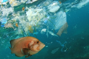 Unblocktober joins campaign months Stoptober and Veganuary to help save sewers and seas